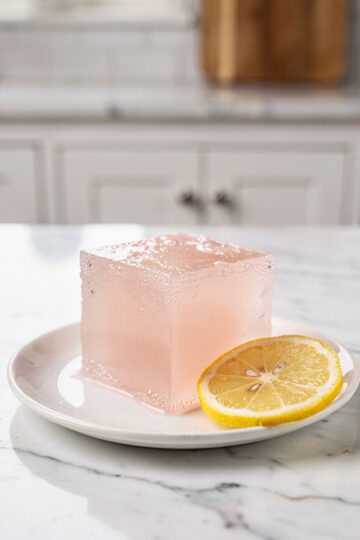 ice gelatin cubes in bright modern NYC kitchen