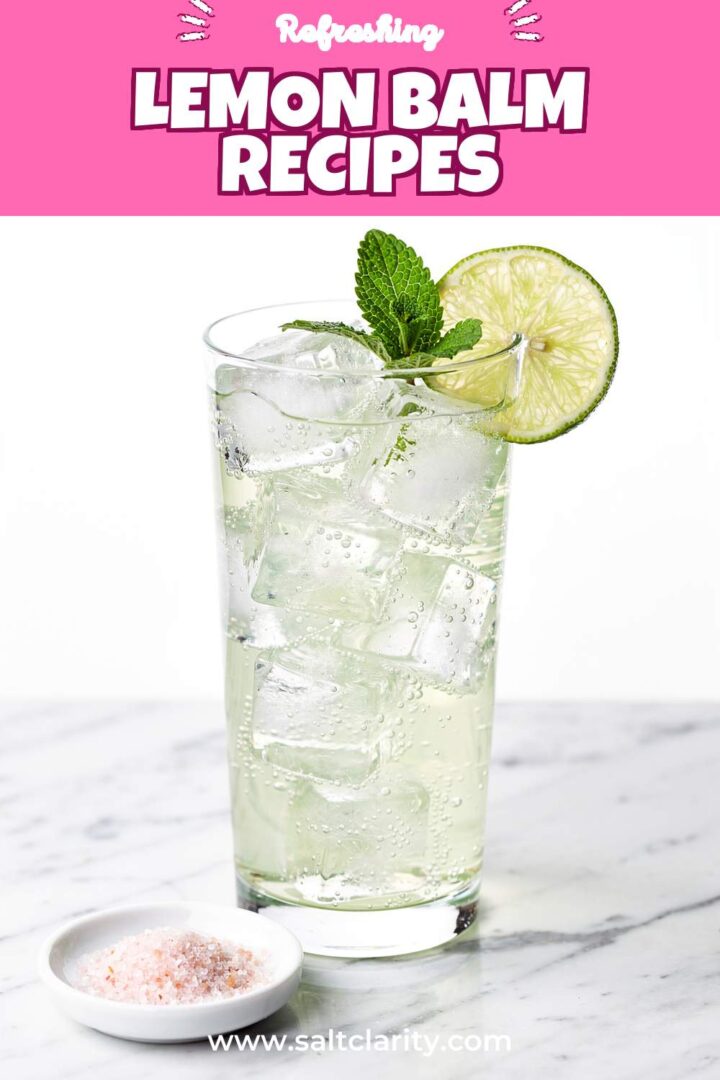 Storage and leftovers for lemon balm recipes